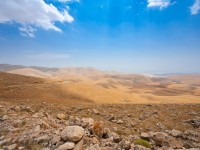 Israel-Desert
