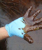 oil-glove